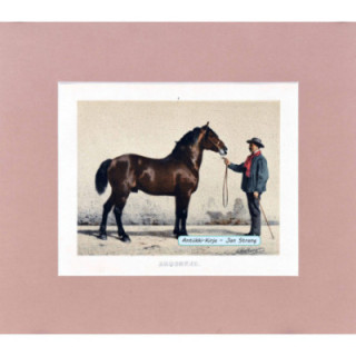 VOLKERS, E. Ardenner